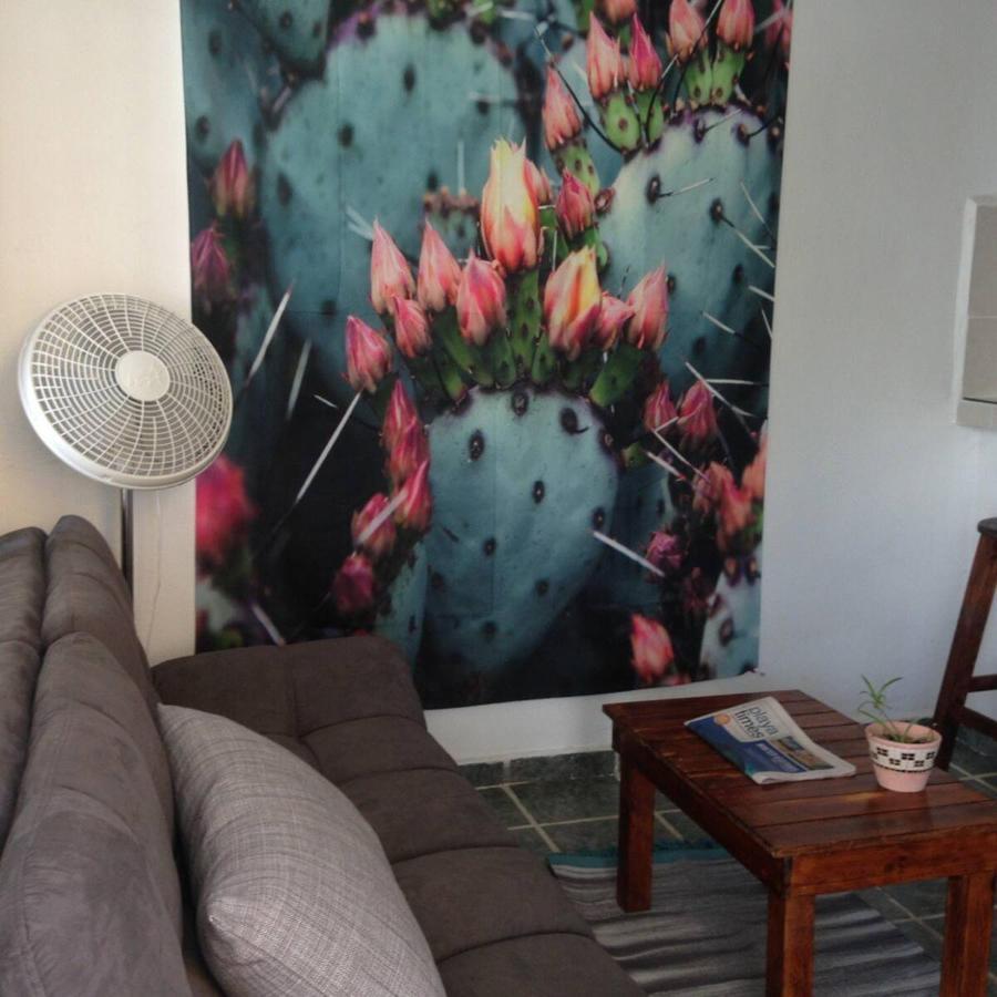 Casa De Hojas Appartement Playa del Carmen Buitenkant foto