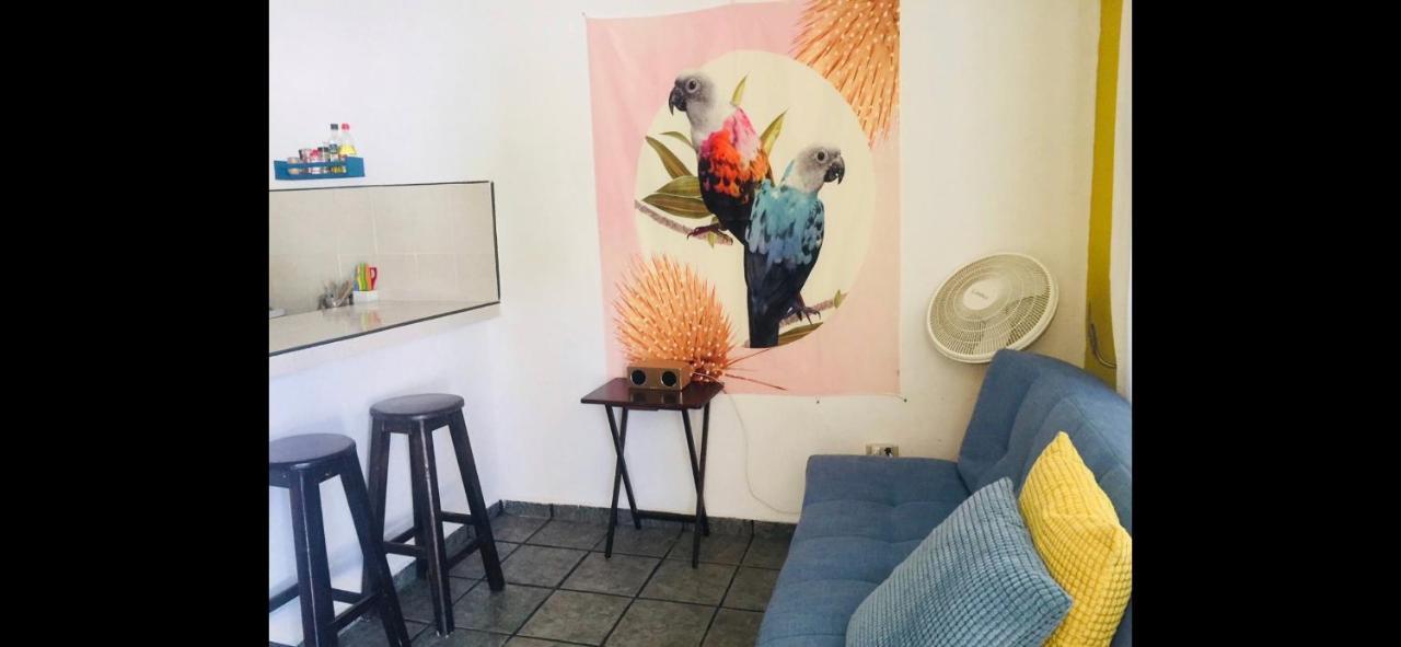 Casa De Hojas Appartement Playa del Carmen Buitenkant foto